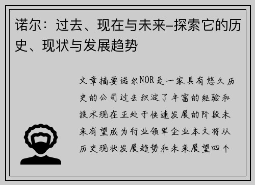 诺尔：过去、现在与未来-探索它的历史、现状与发展趋势